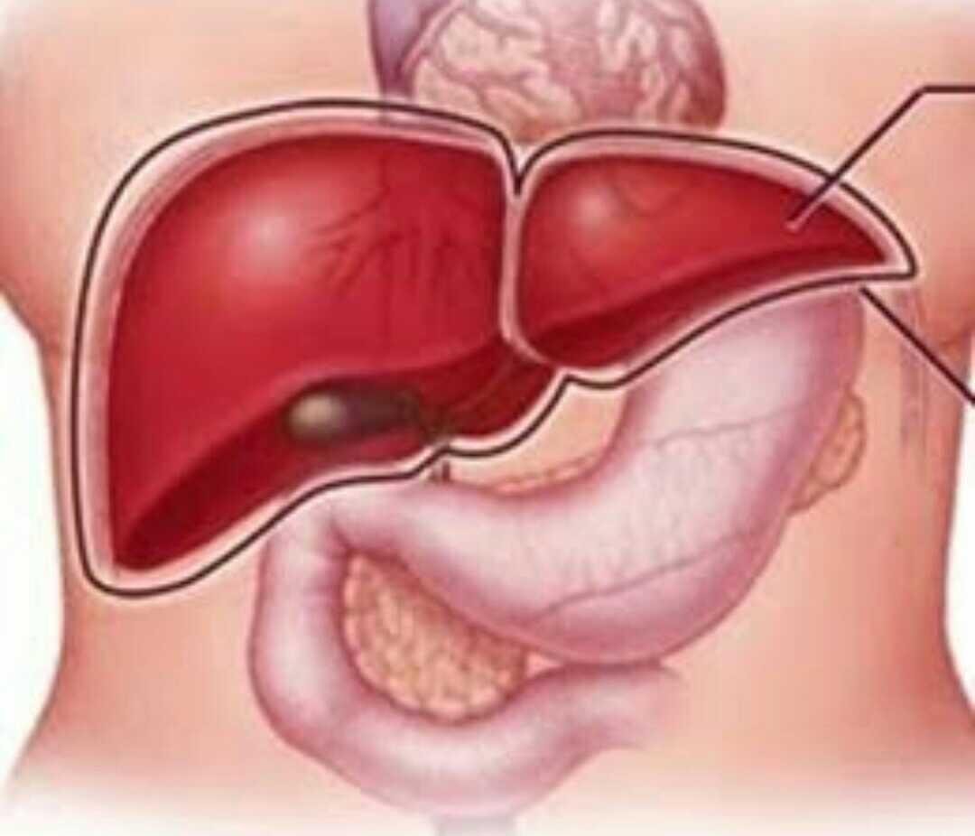 Hepatomegaly Is Mild Steemkr