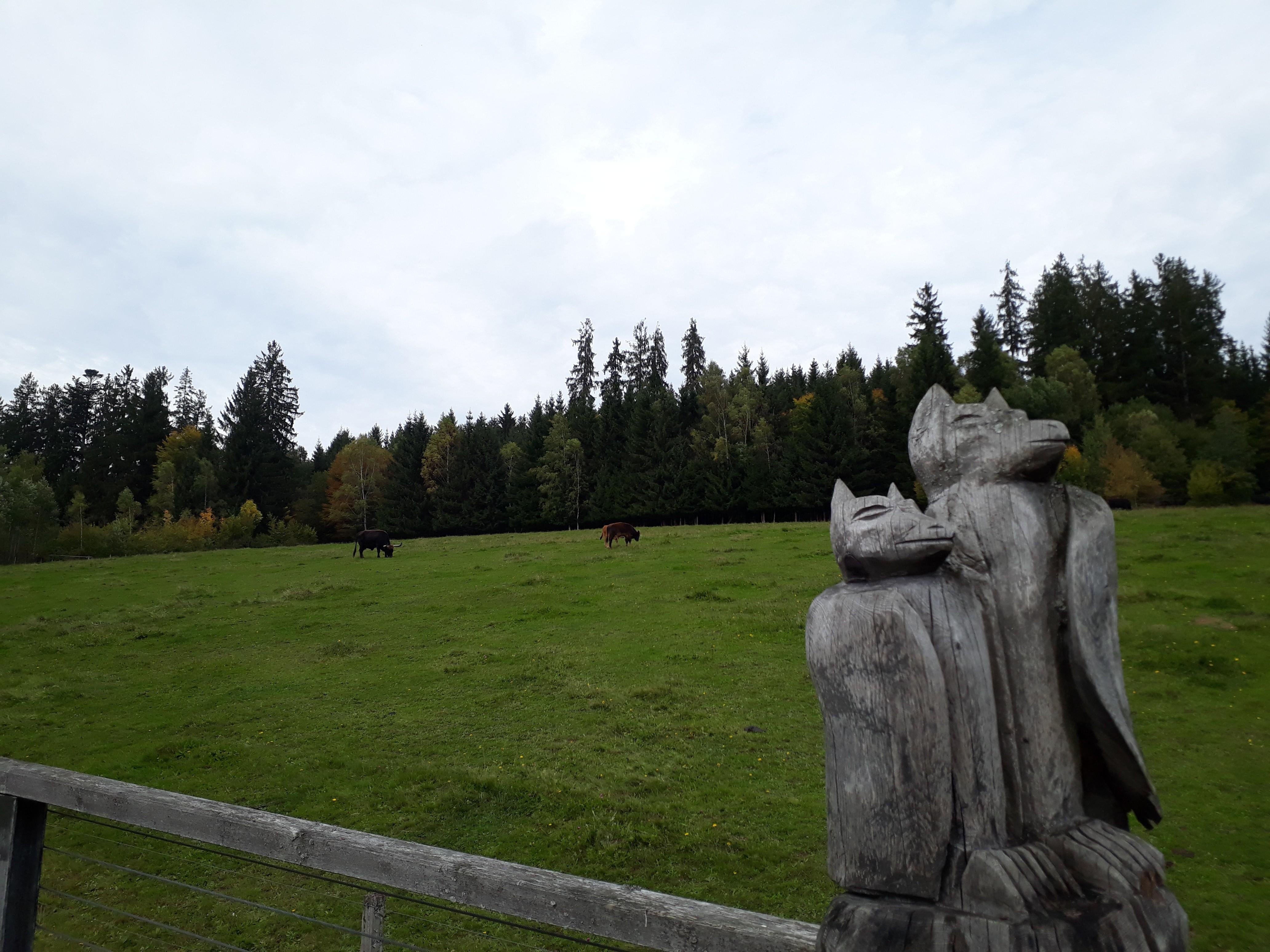 Haus Zur Wildnis In Ludwigsthal