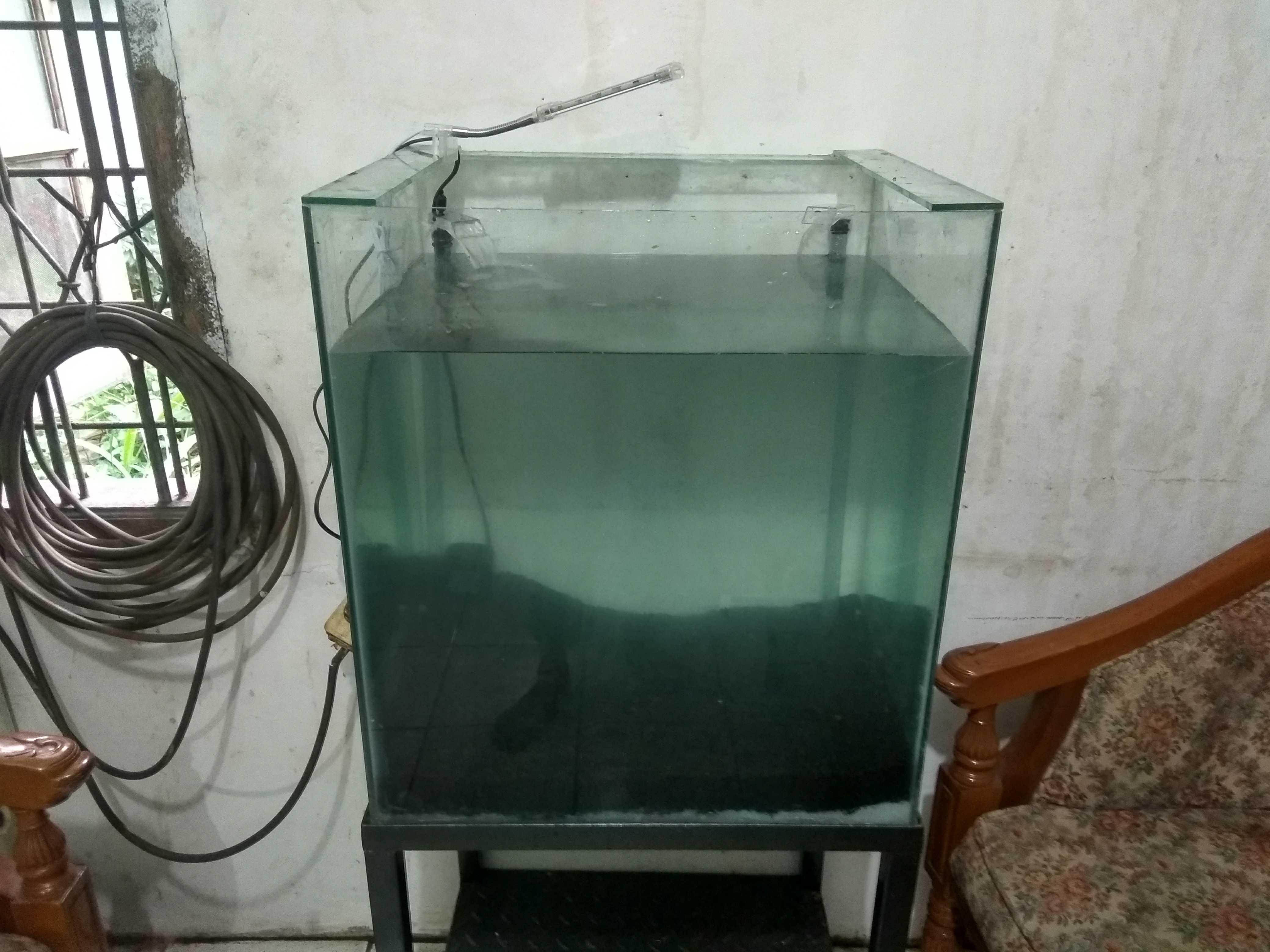 The Secret Of Filters Aquarium Rahasia Penyaring Aquarium