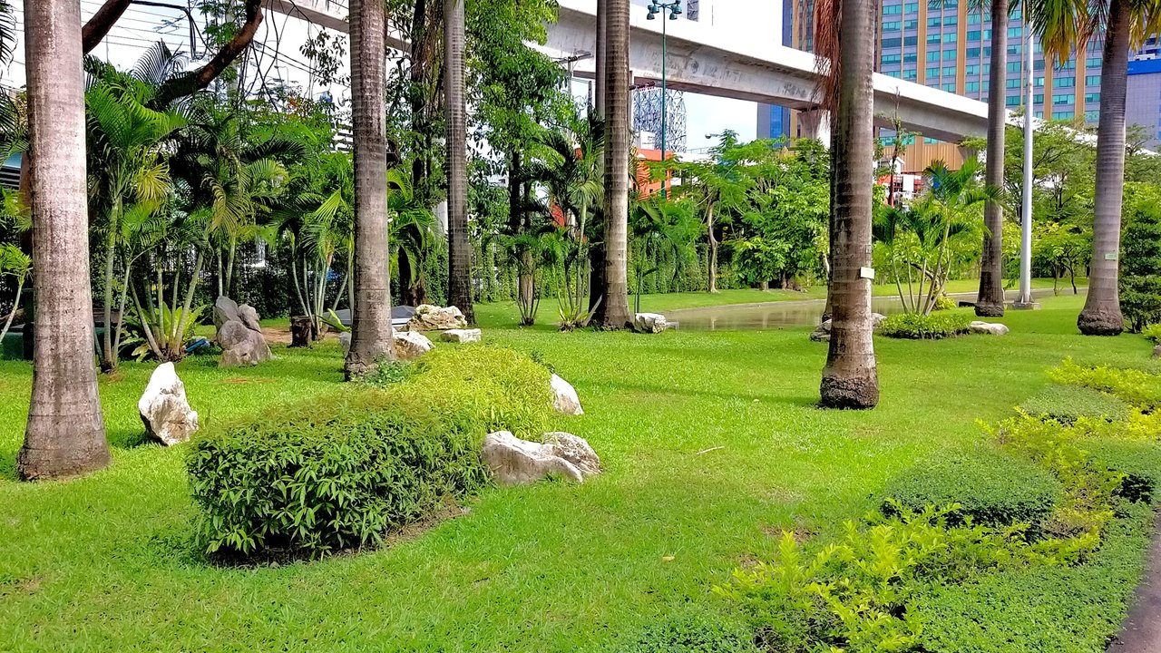 yi2dg088q9.jpg