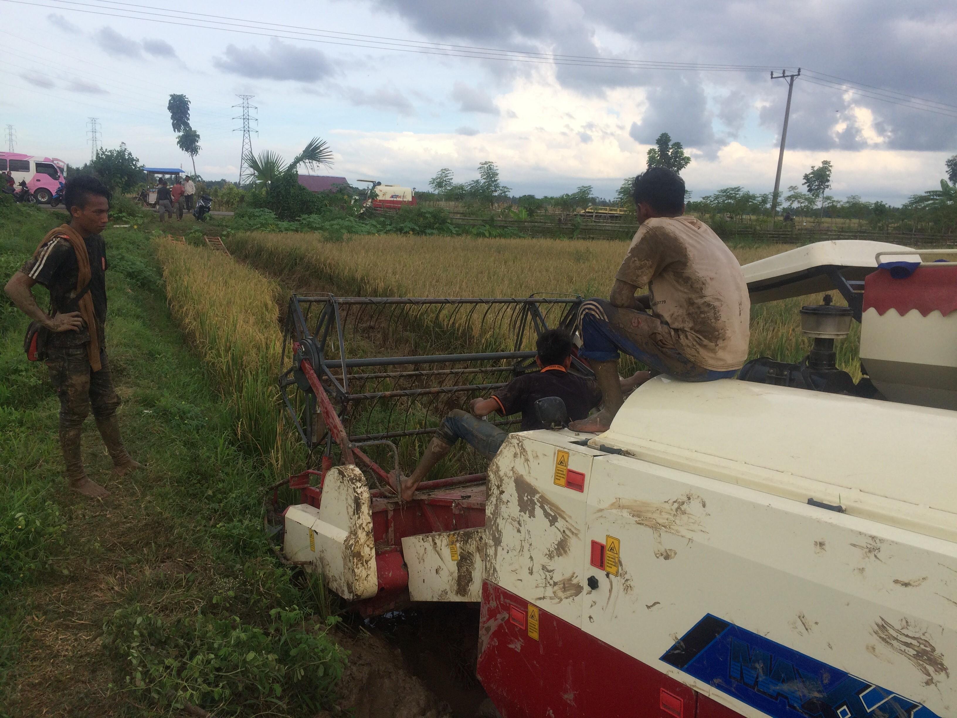 Mesin Panen Padi  Petaka Bagi Petani Bagian I dari II 