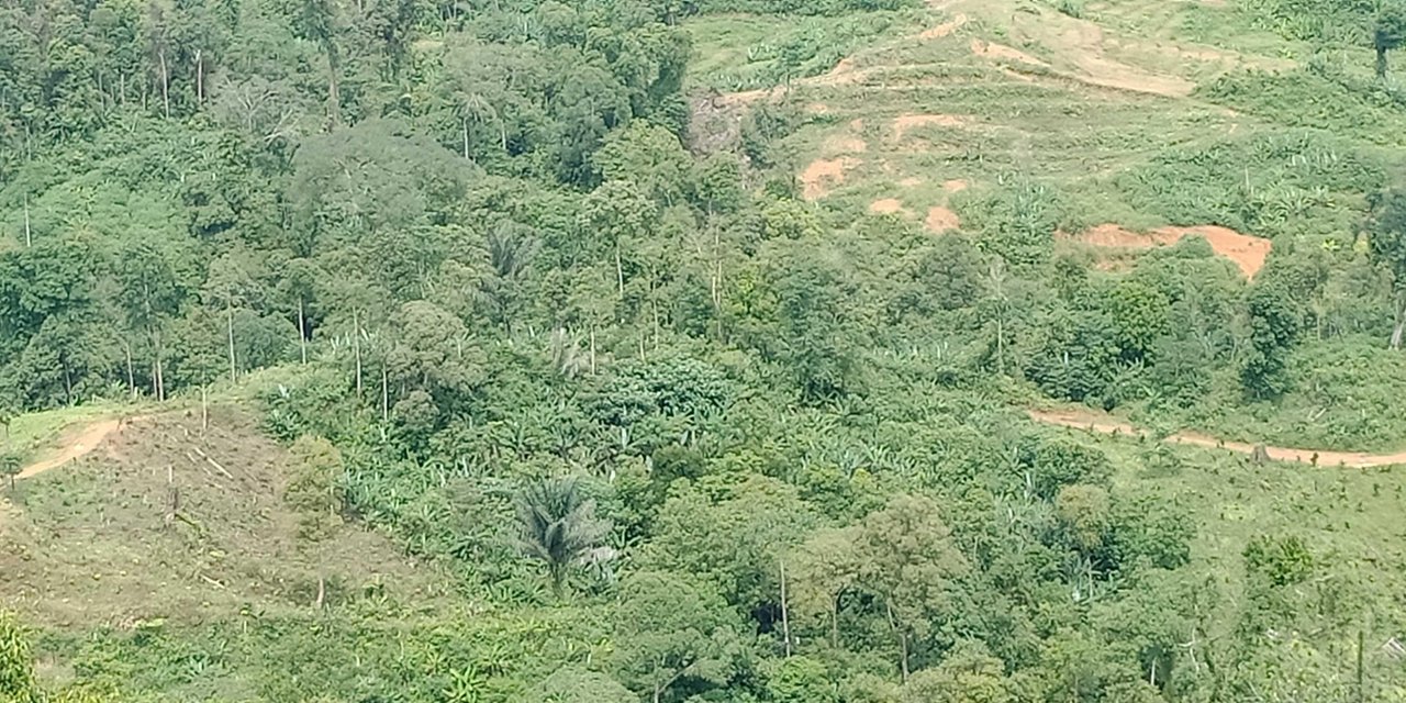 Pemandangan Alam Yang Indah Di Dataran Tinggi