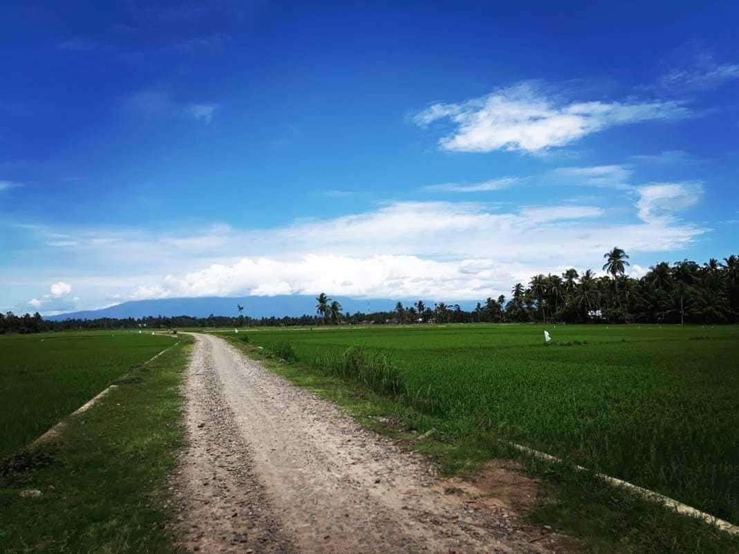 Sore Yang Indah Dengan Pemandangan Yang Menawan