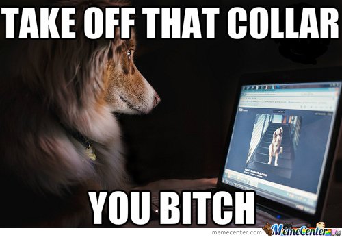 Image result for piece of shit computer meme