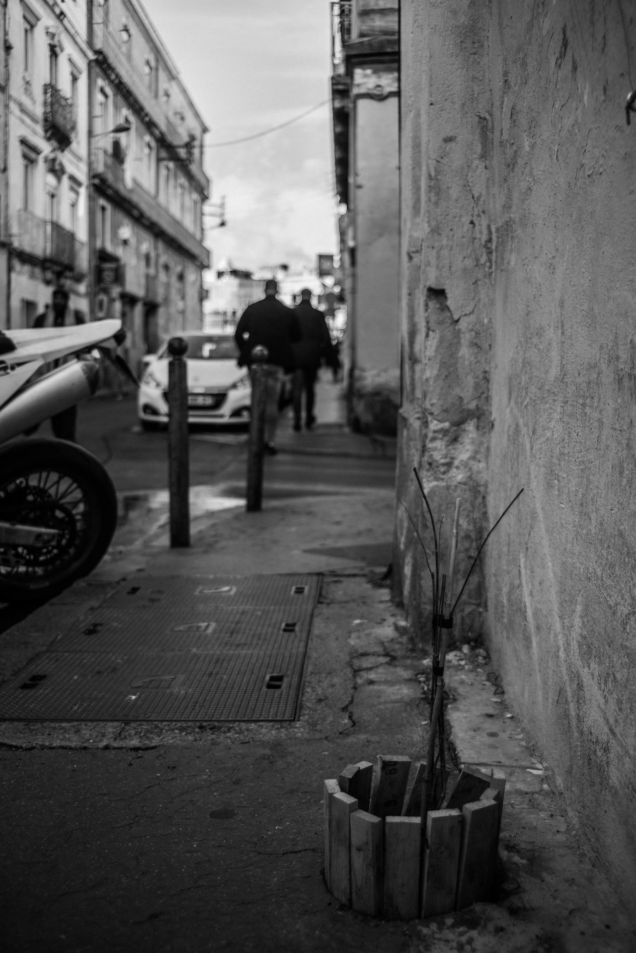 I liked this plant planted in a hole in the concrete a lot - from my romantic point of view, this seems like an action of civil disobedience, someone planting this little tree on their own volition! Wonderful! I’ll do the same thing soon in my street, only I’ll be planting chestnuts!