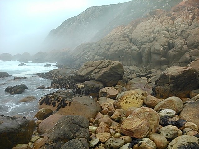 A misty moment filled with mystery on the Plettenberg Bay shoreline