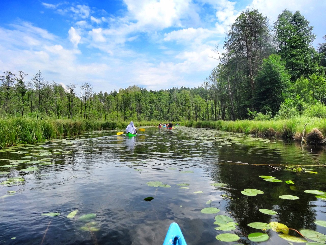 Sometimes the river narrows, sometimes he is wide - like here