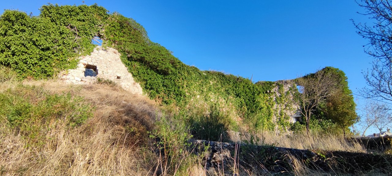 The grass coated castle