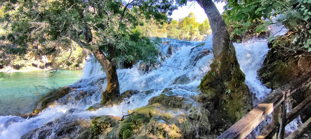 You see the water streaming through the trees