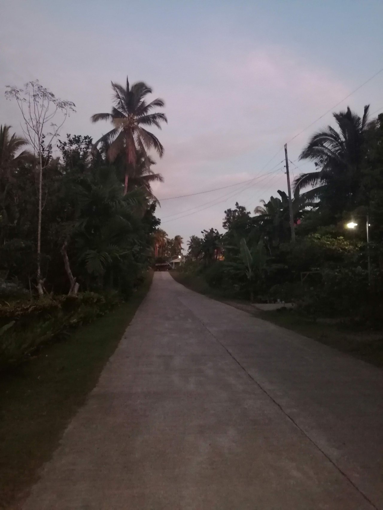 The road going to our home, 3 kilometers from the highway.