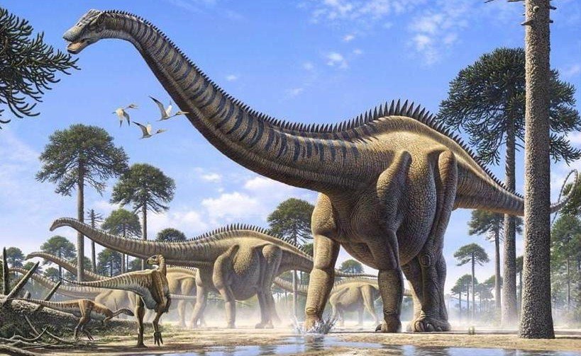Der größte dinosaurier aller zeiten