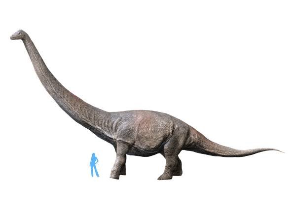 Größte zeiten der dinosaurier aller Größter Raubsaurier