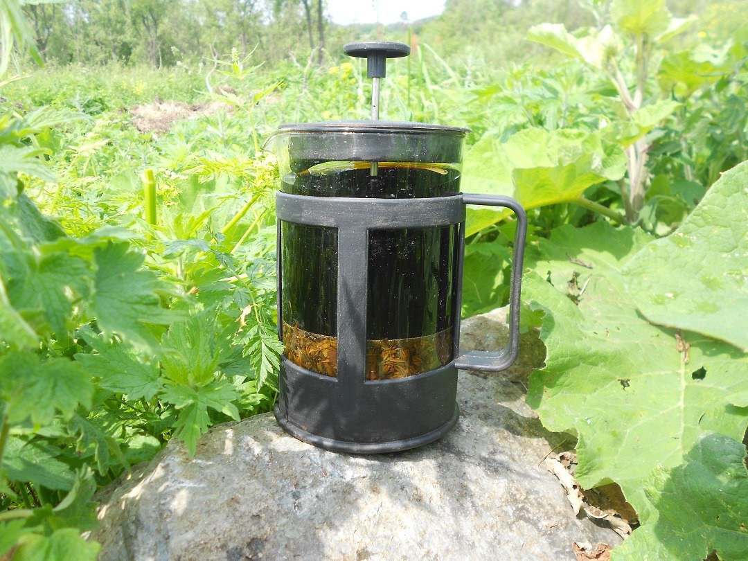 And why is the plant Ivan-tea so called Where did this name come from And why is the plant Ivan-tea so called Where did this name come from