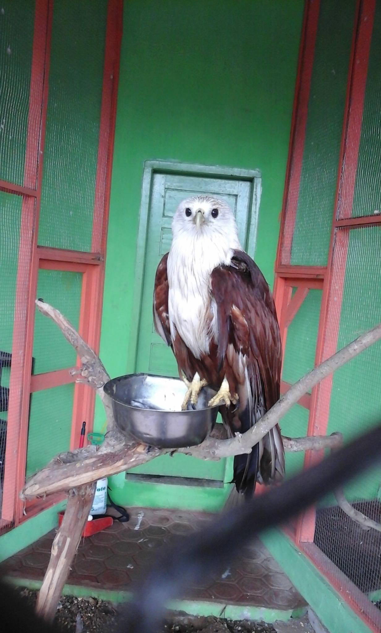 Walk With Me Zoo Part 3