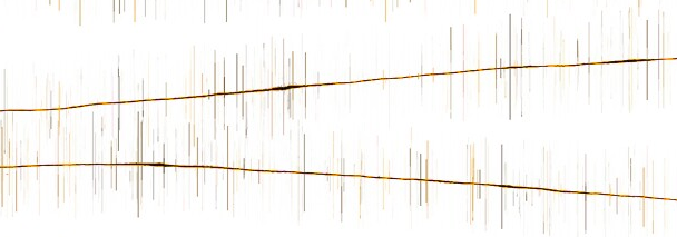 a market seeks a route to equillibrium