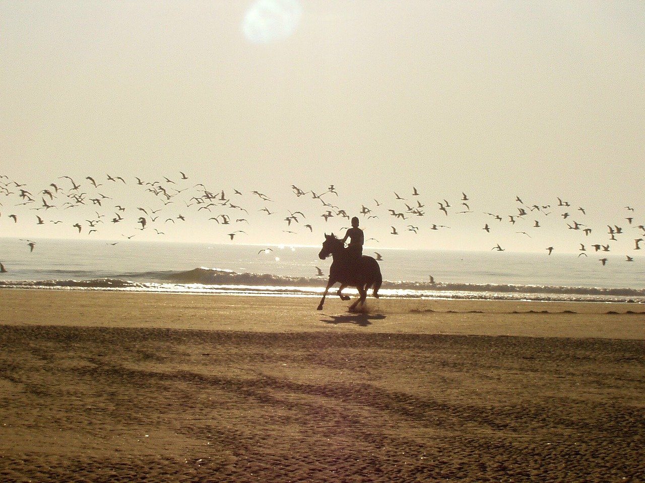 Beach rider