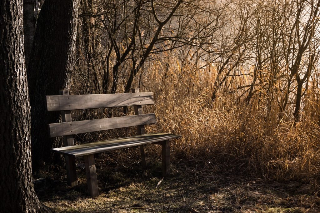 Bench in fall