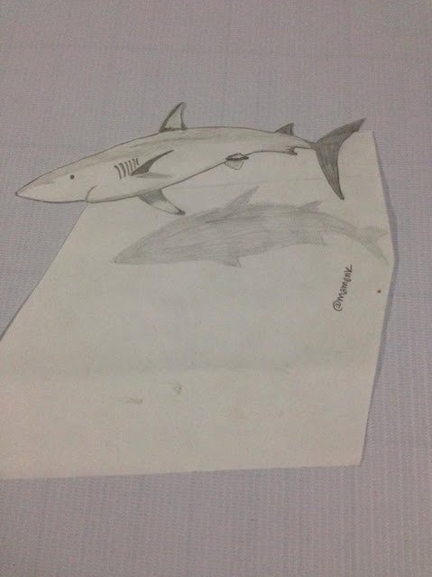 3d Drawing Simple Shark With Pencil