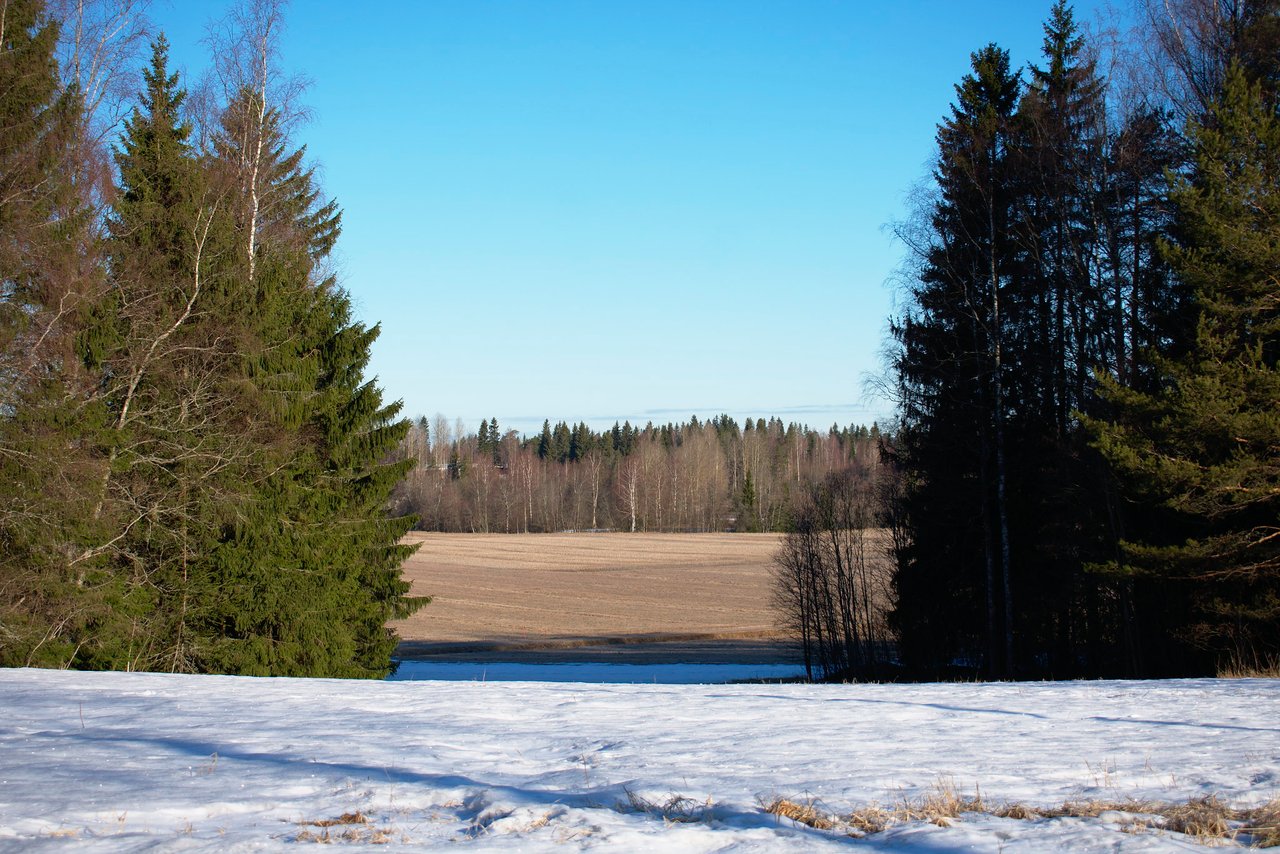 We Still Have Lot Of Snow On Ground But >> Still Snow On The Ground Partiko We Still Have Lot Of Snow On Ground But >> Still Snow On The Ground Partiko