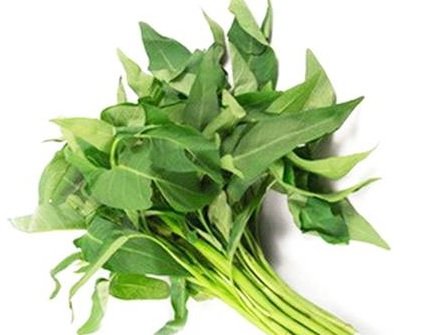 Plant Kangkung herbal healthy Steemit