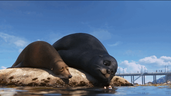 Finding Dory Sea Lions