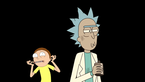  rich and morty GIF