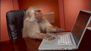 monkey-coder