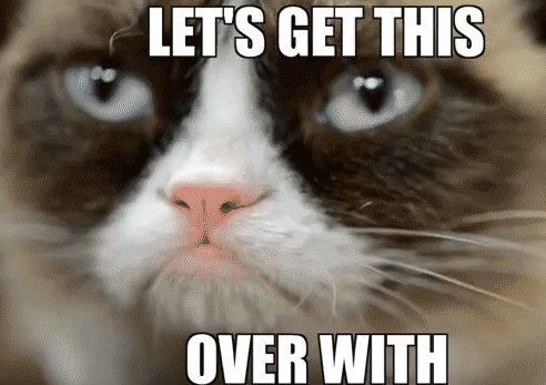 Grumpy-cat GIFs - Get the best GIF on GIPHY