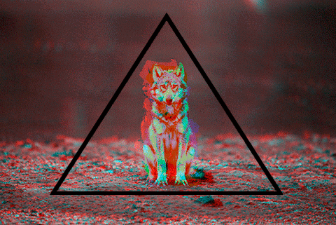 image of cool wolf animation gif