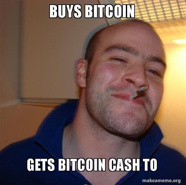 Best Meme Buys Bitcoin Gets Bitcoin Cash To Pls Upvote - 