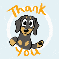 Thank You So Much GIF by Pudgy Penguins