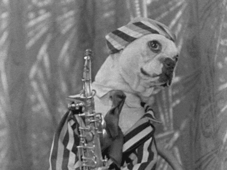 A dog playing the saxophone