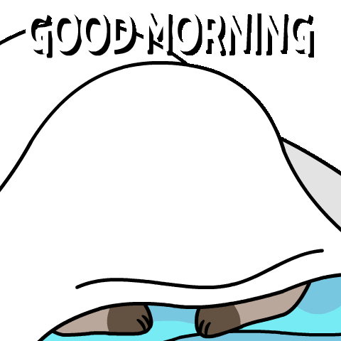 randomgif