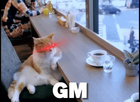 randomgif