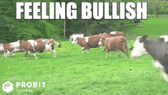 randomgif