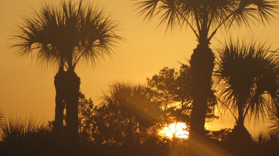 Sunrise at Buccaneer Bay by Meredith Loughran