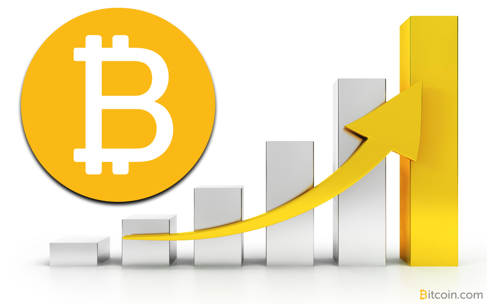 crypto coin market value