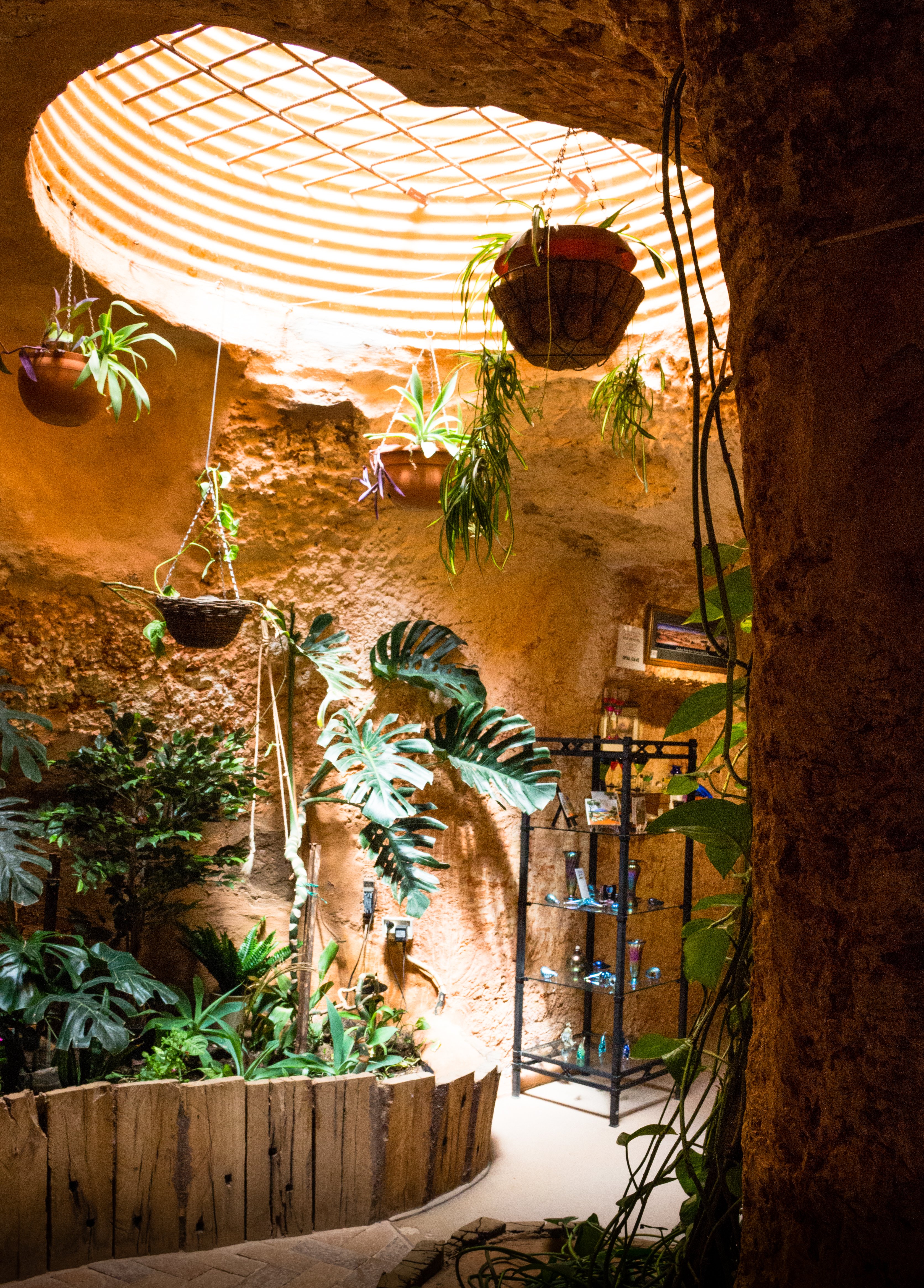 Underground garden at Coober Pedy