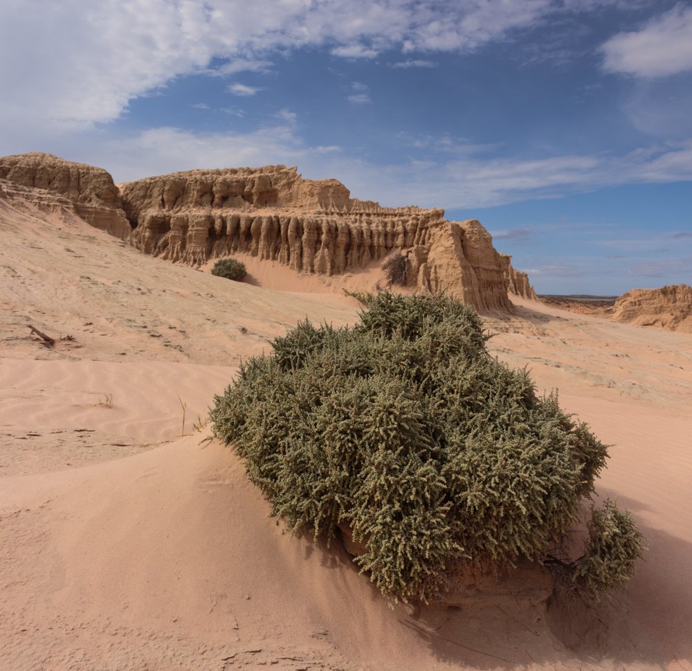 Mungo National Park Lunettes