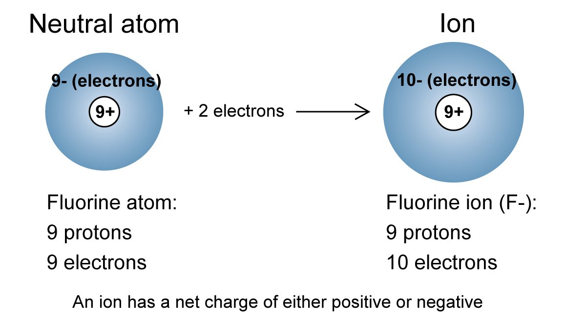 Let's Learn Anatomy!!! #2 - Atoms, Molecules, and Chemistry — Steemit