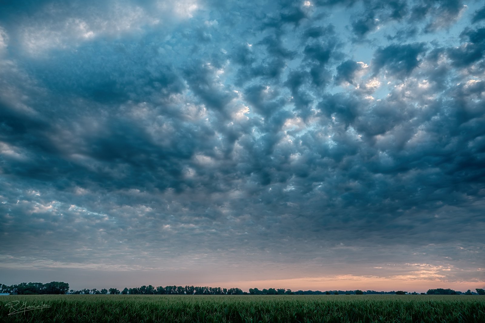 Clouds and Corn Fields