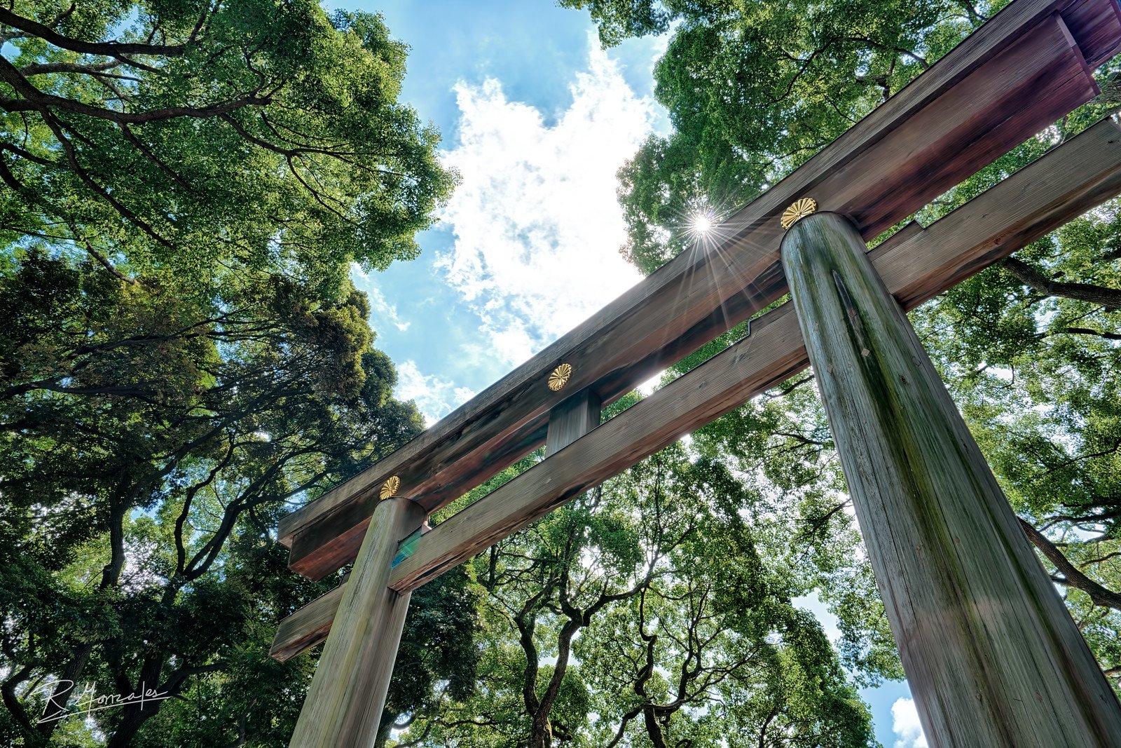 Tokyo-Harajuku-Temple-Torii-Fine-Art-Photography-Prints