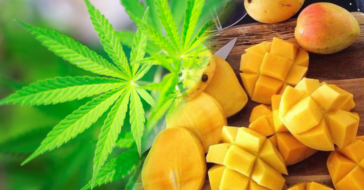 Image result for cannabis mango juice