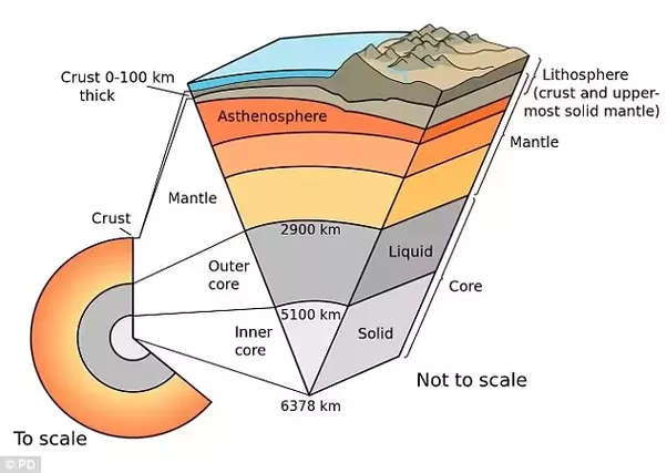 Magnetoreception – Can birds sense the geomagnetic field?