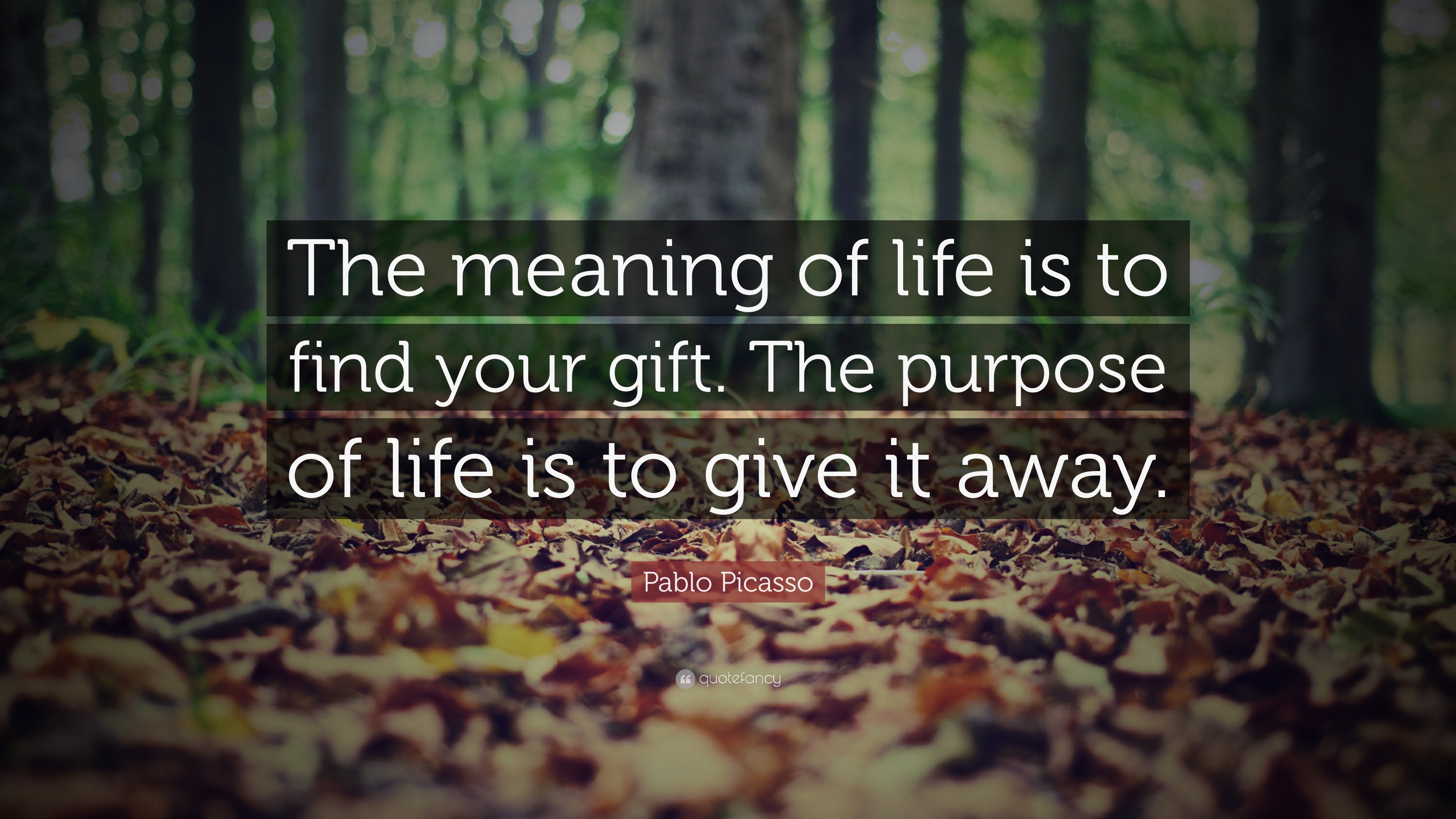 How to find the meaning of life How to find the meaning of life