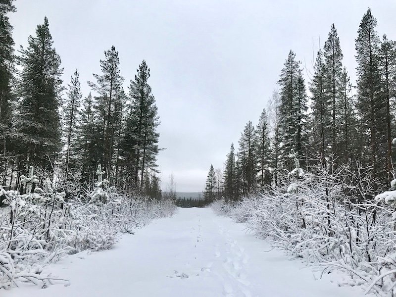 Erster_Schnee_Finnland_Reise_zum_Nordkapp