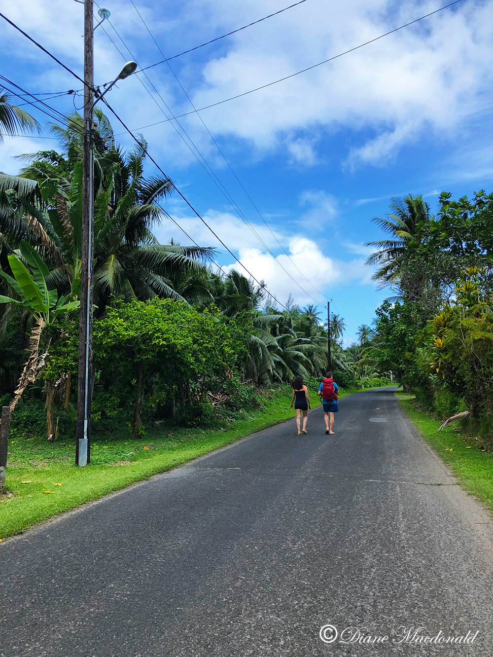 Fellow travelers on the road to Parea, Huahine