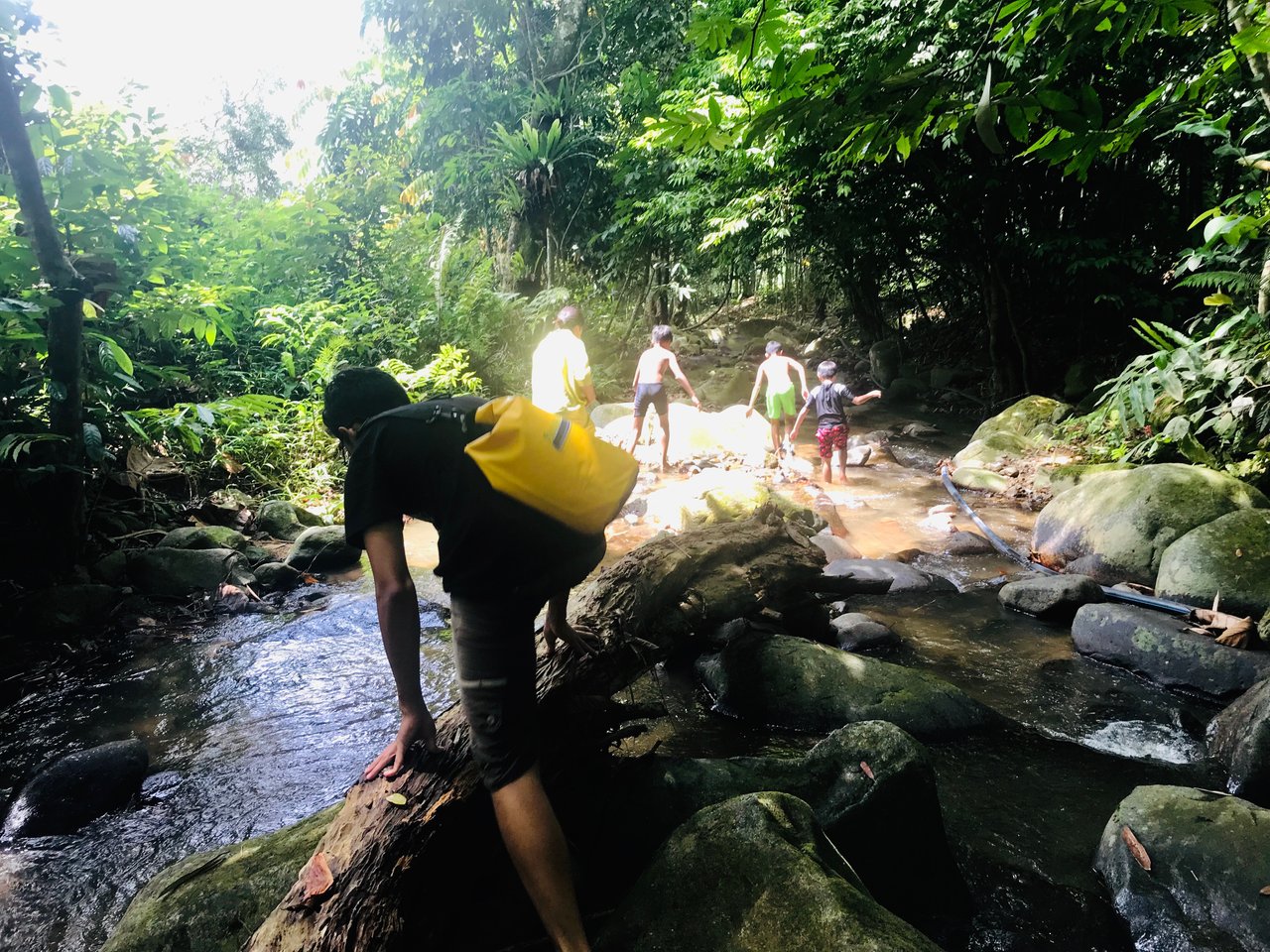 Climbed rocks, slipped, fell into the water.