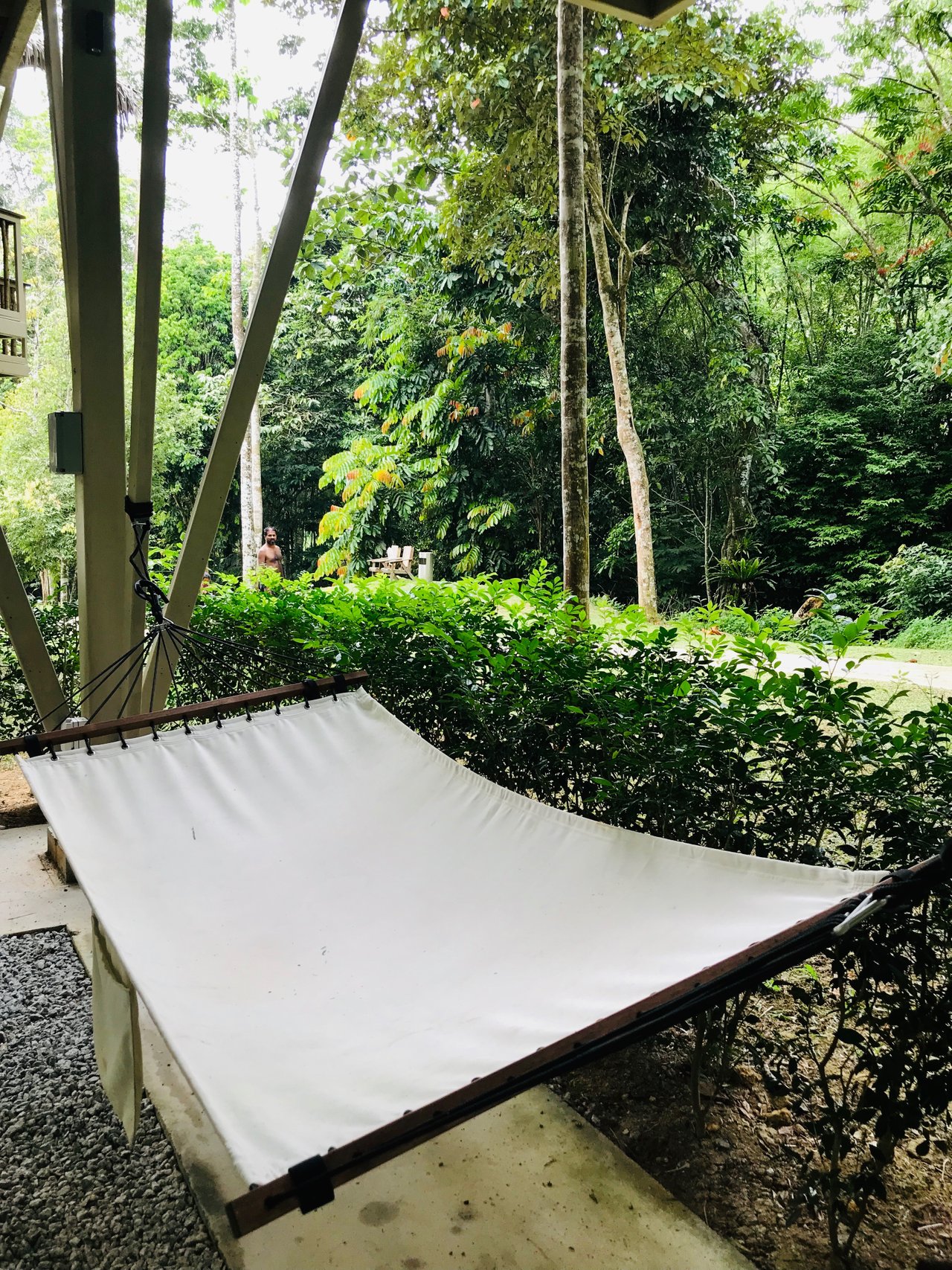 An afternoon siesta in a hammock.