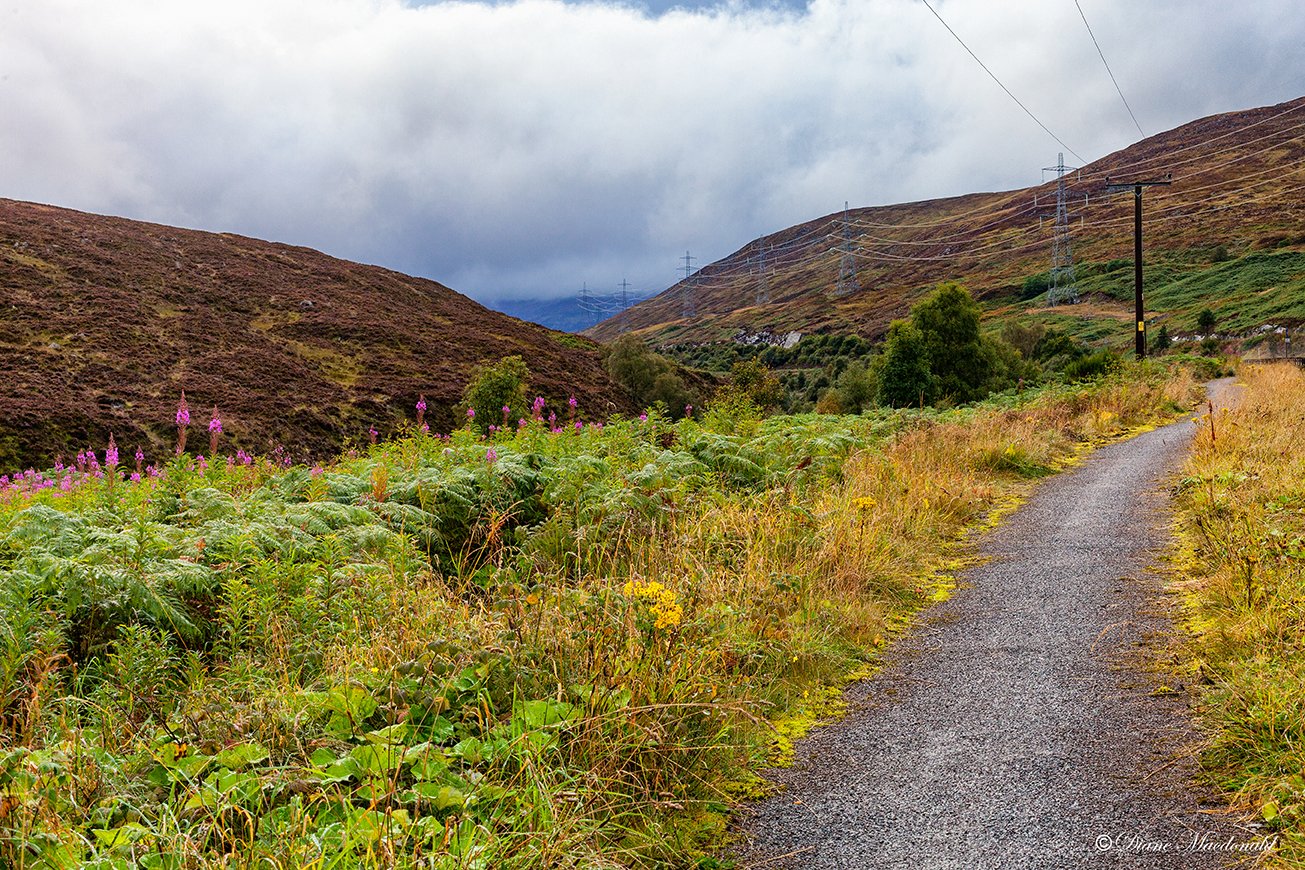 Cairngorms.jpg